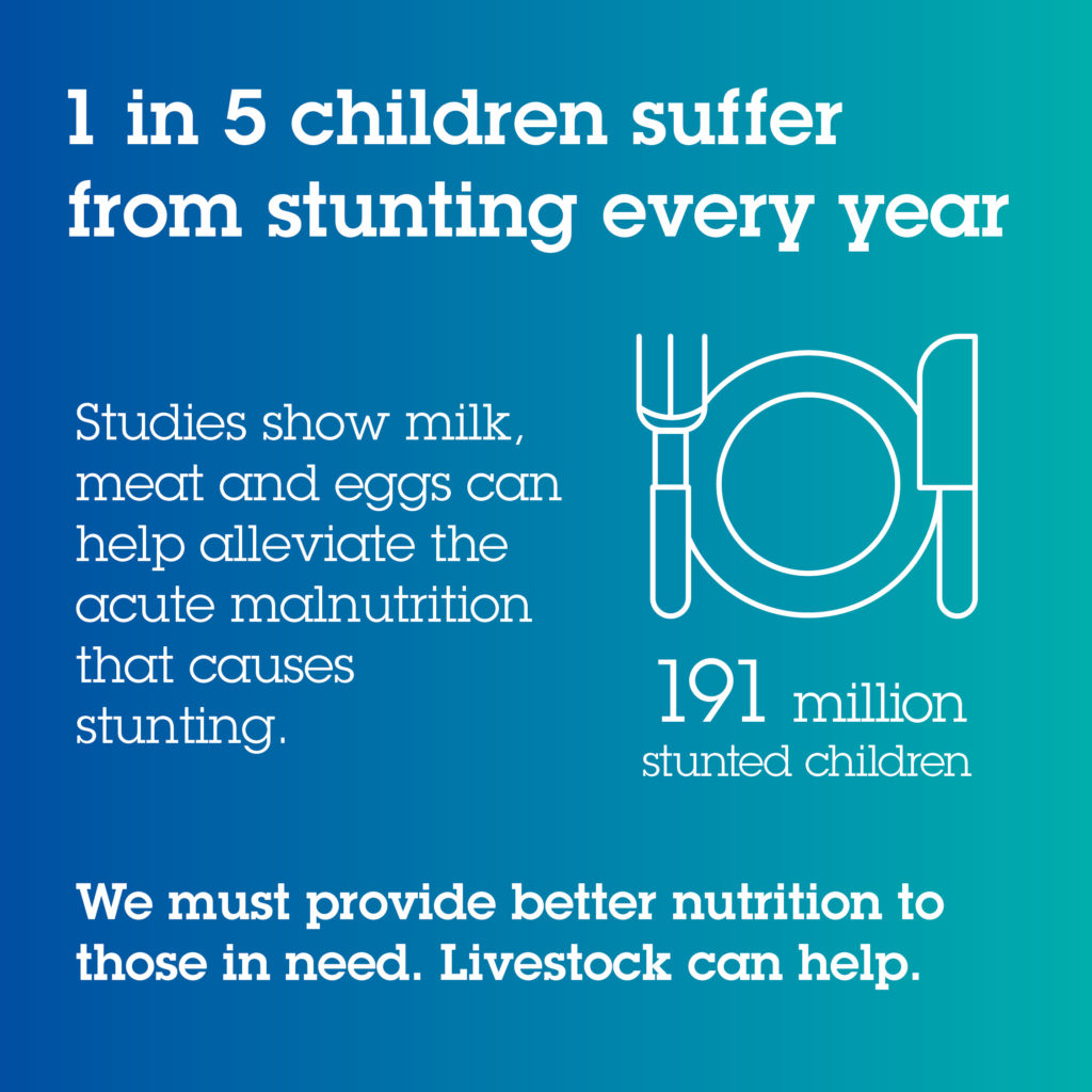 1 in 5 children suffer from stunting every year