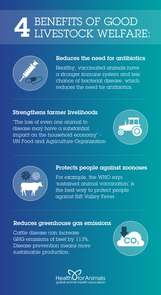 4 Benefits of Good Livestock Welfare