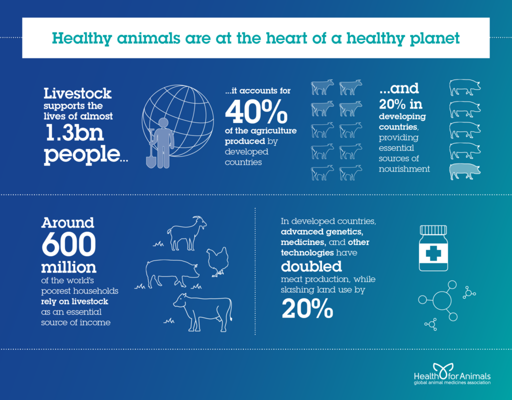 Healthy animals are at the heart of a healthy planet