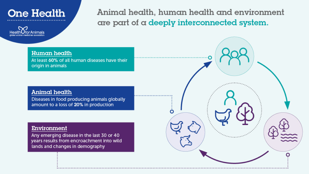 One Health infographic – Twitter