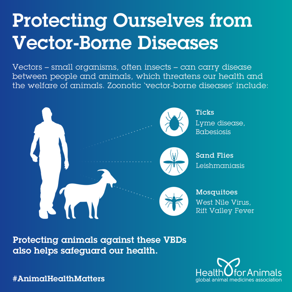 Protecting Ourselves from Vector-Borne diseases