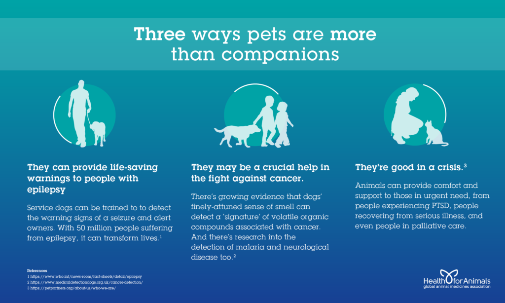 Three ways pets are more than companions