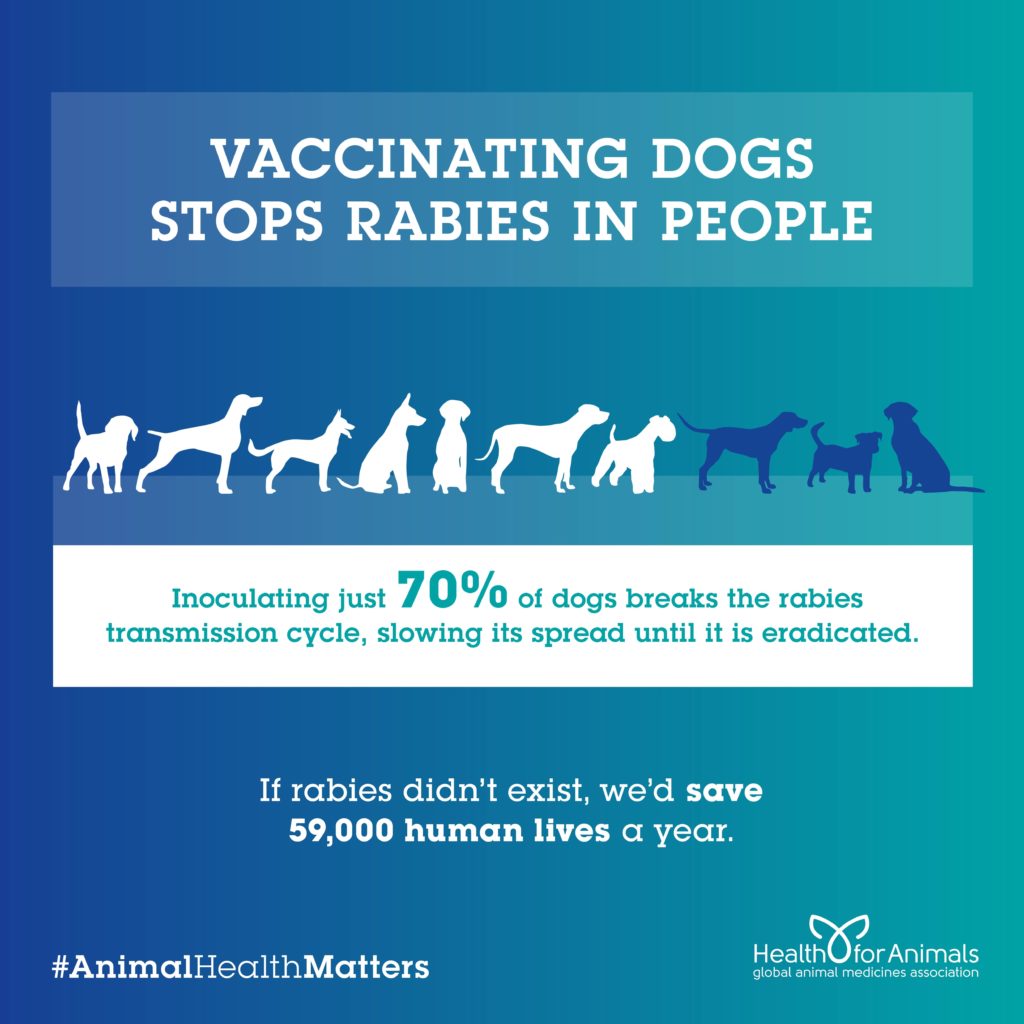 Vaccinating Dogs stops rabies in people