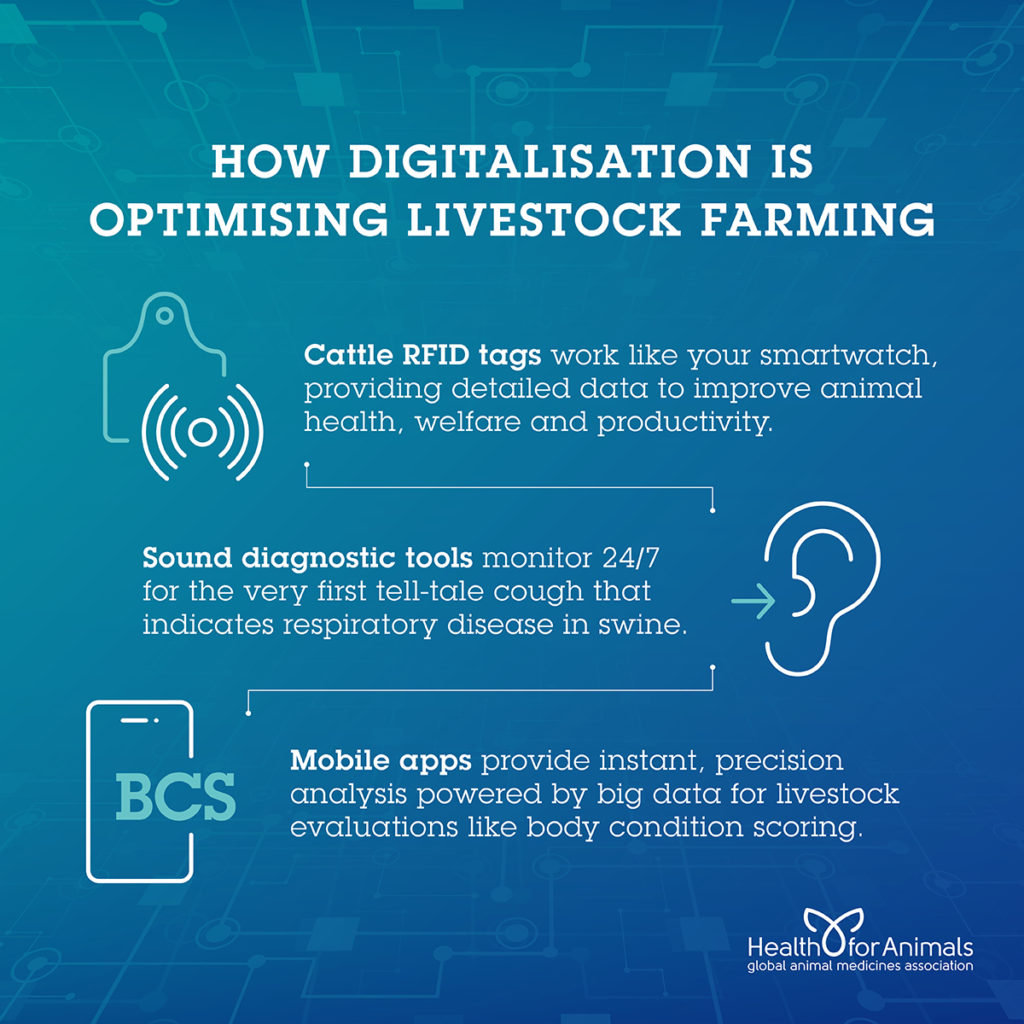 How Digitalisation is Optimising Livestock Farming