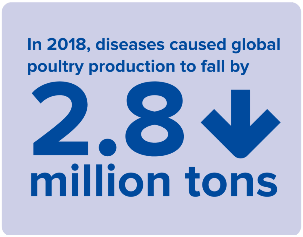In 2018, diseases caused global poultry production to fall by 2.8 million tons